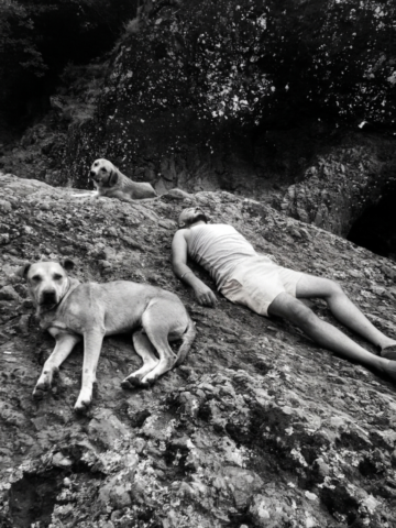 ilker duman ve köpekleri